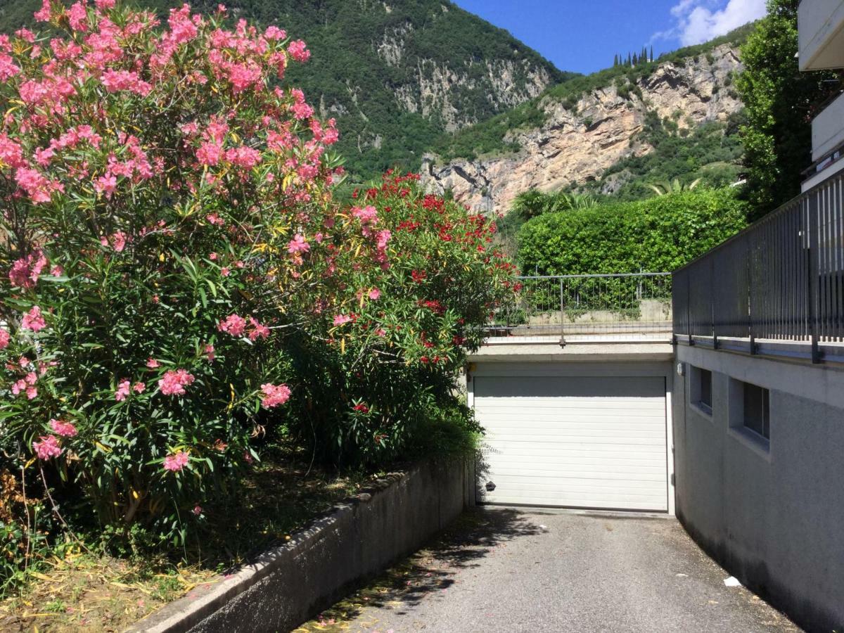 Garda Il